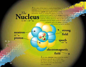 nucleus.jpg